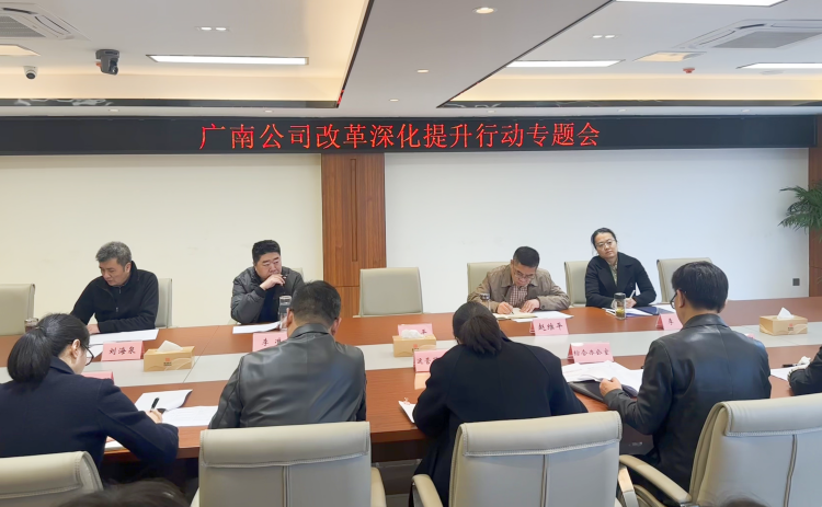 廣南公司召開改革深化提升行動專題會.png
