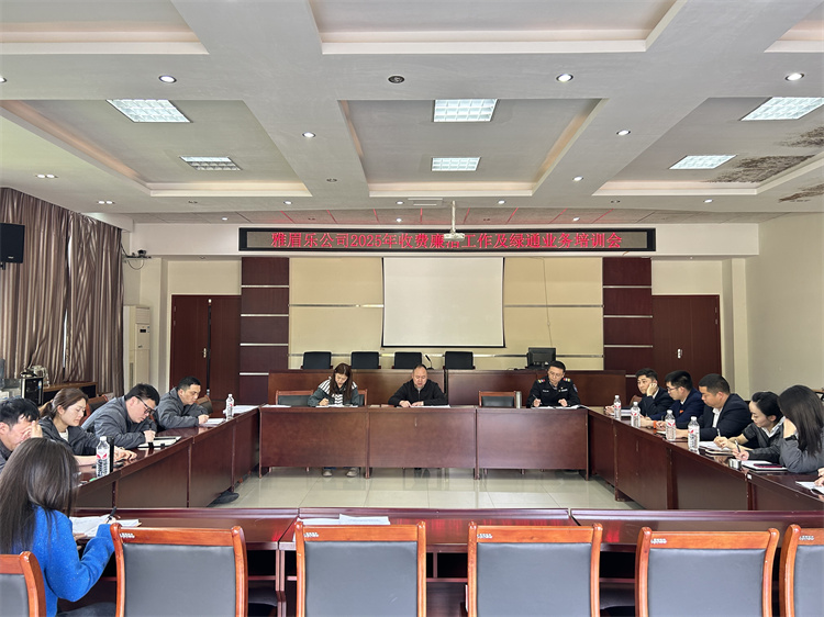 3月26日雅眉樂公司召開廉潔工作及綠通業(yè)務(wù)培訓(xùn)會（王玨）.jpg