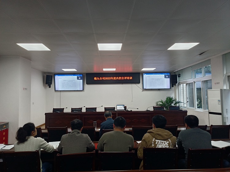 綿九公司舉辦2022年度內(nèi)控自評(píng)培訓(xùn)會(huì).jpg