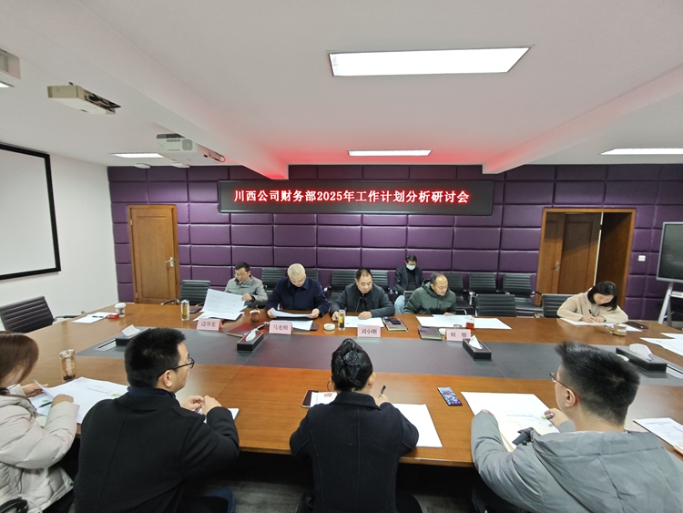 20250107川西公司召開(kāi)財(cái)務(wù)預(yù)算執(zhí)行及經(jīng)營(yíng)分析會(huì)_副本.jpg