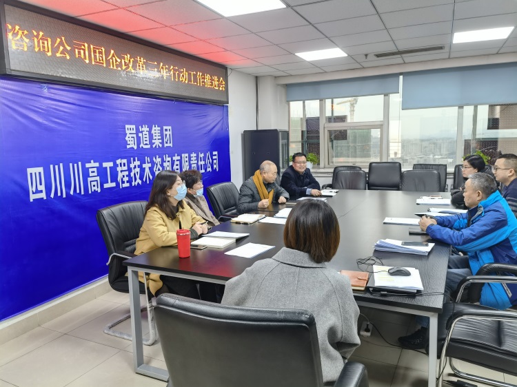 咨詢公司召開國(guó)企改革三年行動(dòng)推進(jìn)會(huì).jpg