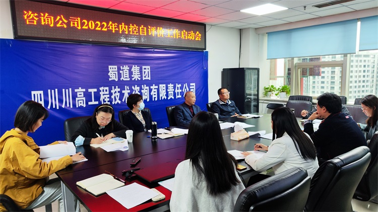 咨詢公司召開2022年內(nèi)控自評(píng)價(jià)工作啟動(dòng)會(huì).jpg